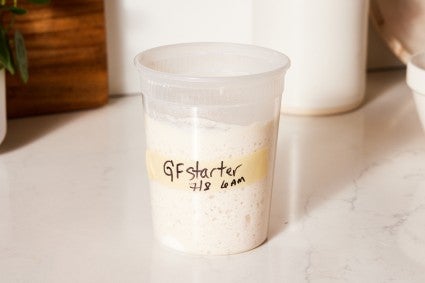 Gluten-free sourdough starter in a plastic deli container